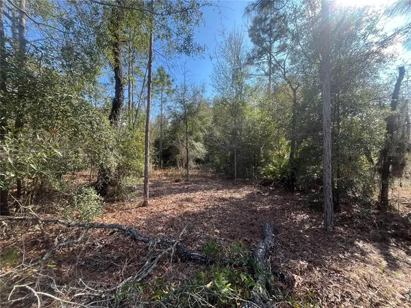 $10,500 | 6291 Drake Avenue, Keystone Heights, FL 32656