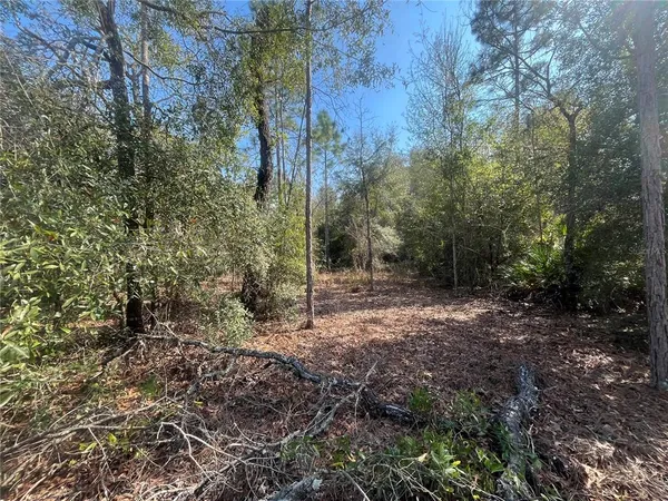 $10,500 | 6291 Drake Avenue, Keystone Heights, FL 32656