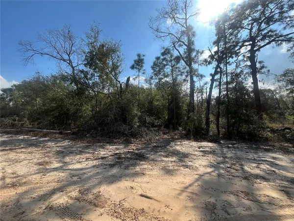 $10,500 | 6291 Drake Avenue, Keystone Heights, FL 32656