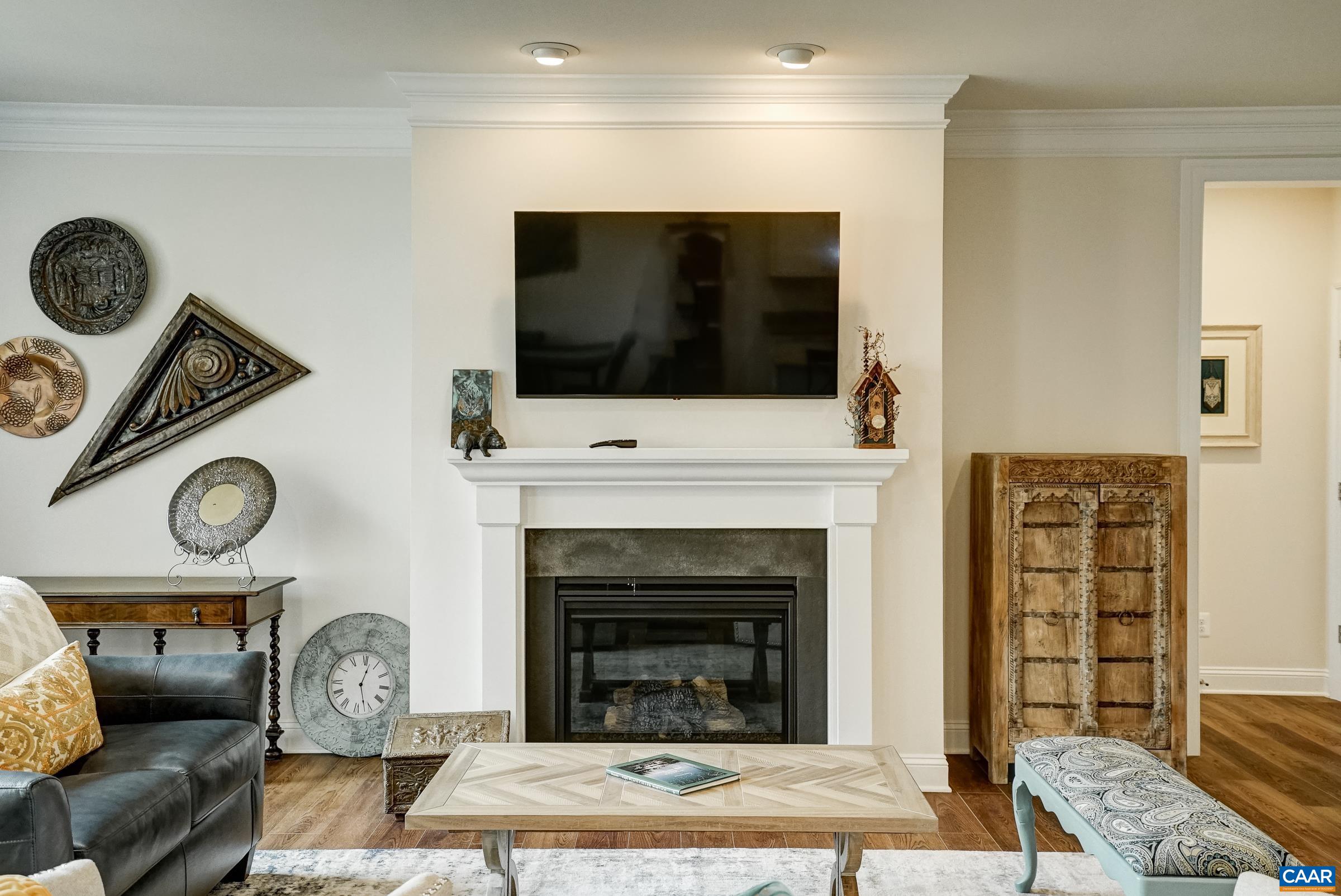 146 Timber Ridge Lane Zion Crossroads, VA 22942 - Photo 19 of 31 a living room with furniture a fireplace and a flat screen tv