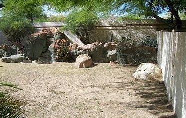 3626 East Long Lake Road Phoenix, AZ 85048 - Photo 10 of 10 Back yard