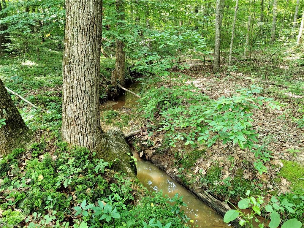 1387 Stewart Road Walnut Cove, NC 27052 - Photo 29 of 30 Meandering creek on back side of the property