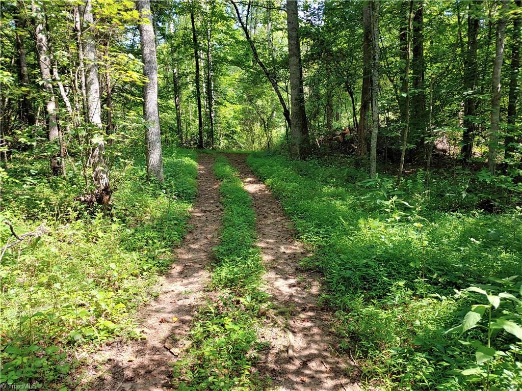 1387 Stewart Road Walnut Cove, NC 27052 - Photo 30 of 30 Trails through the 9.23 acres