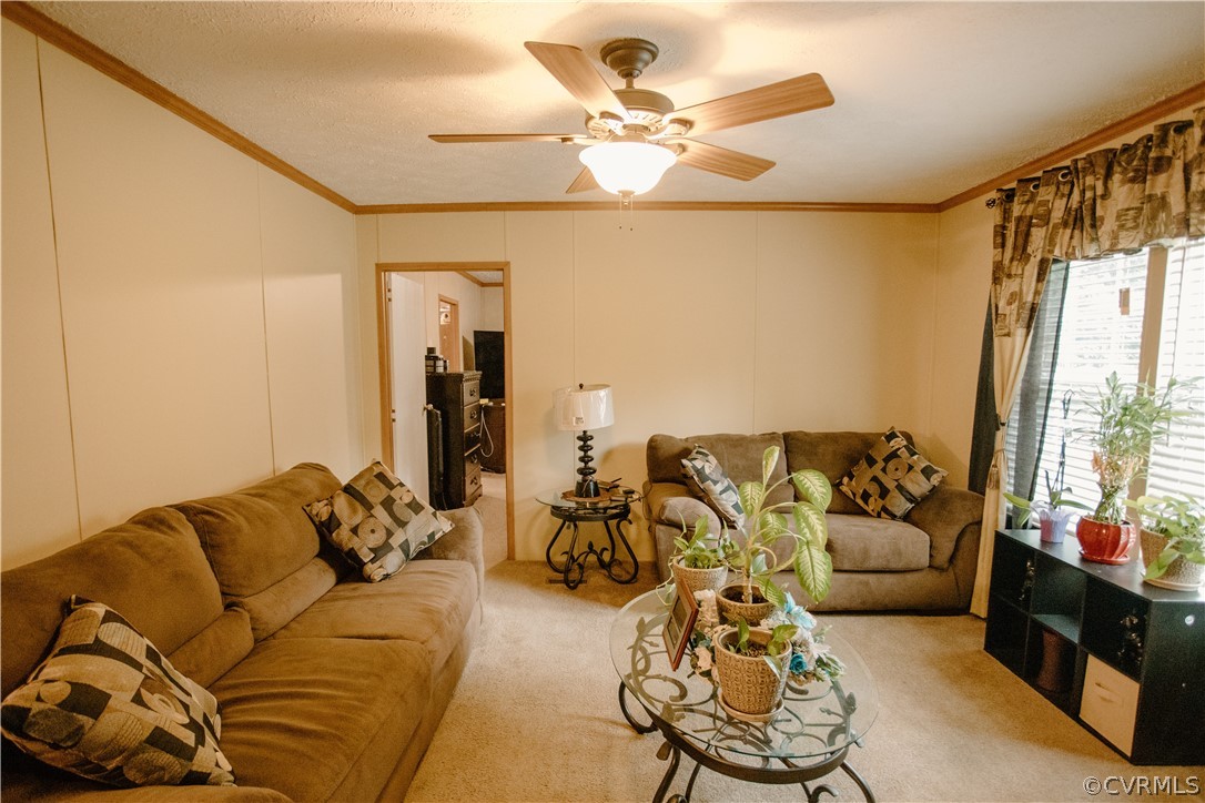 2544 Piney Grove Road Rice, VA 23966 - Photo 21 of 47 Gallery Image 21