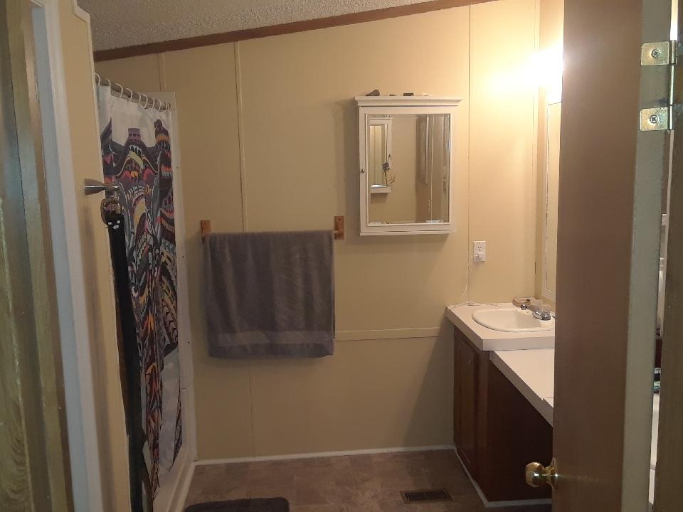 771 Spring Branch Road Harleyville, SC 29448 - Photo 22 of 34 Master bathroom