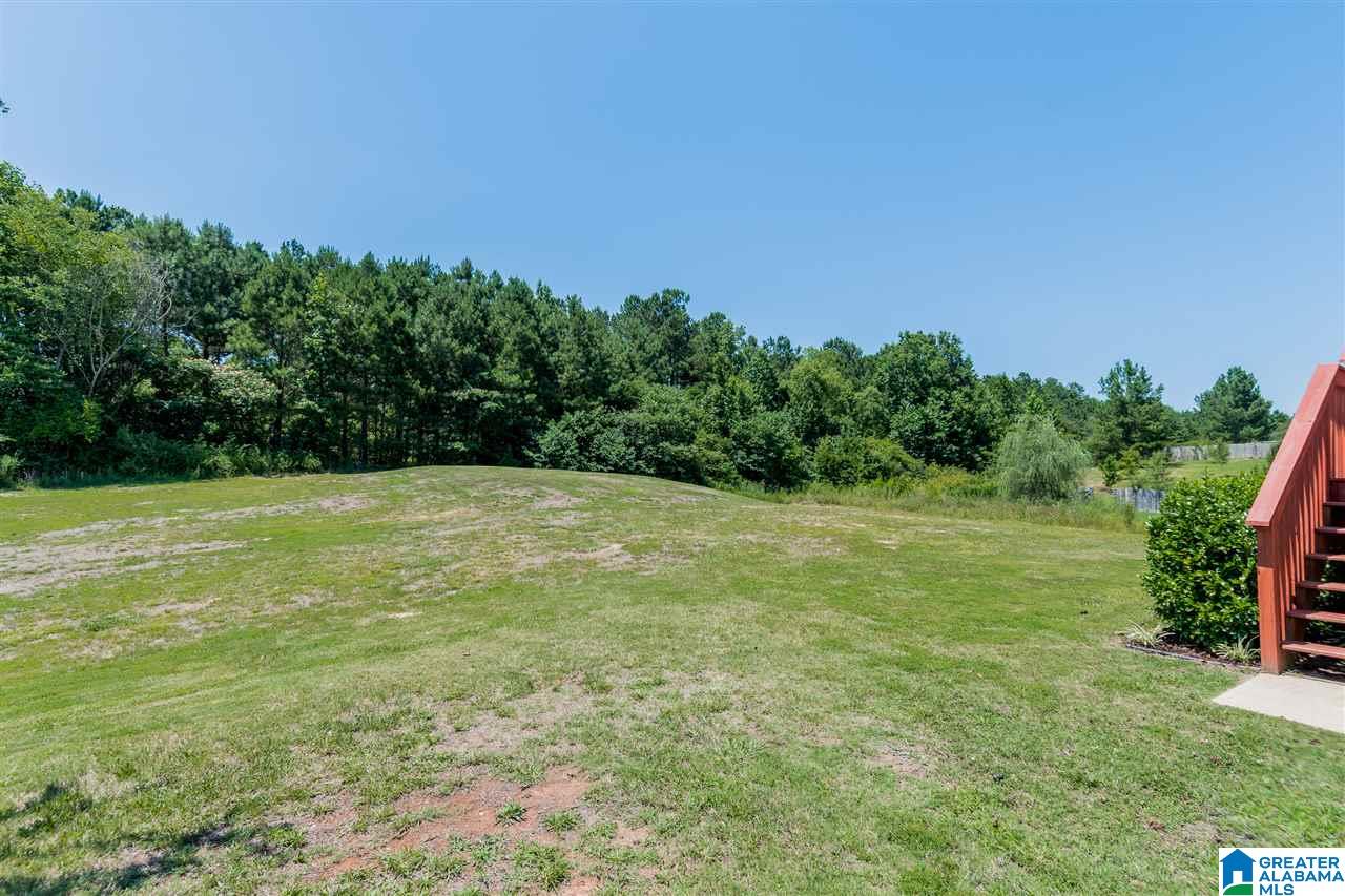 655 Ridgefield Way Odenville, AL 35120 - Photo 36 of 44