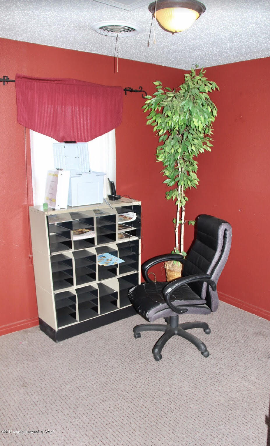 4118 South Washington Street Amarillo, TX 79110 - Photo 9 of 18 a room with furniture and a potted plant