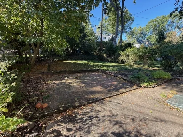 a view of a park with large trees