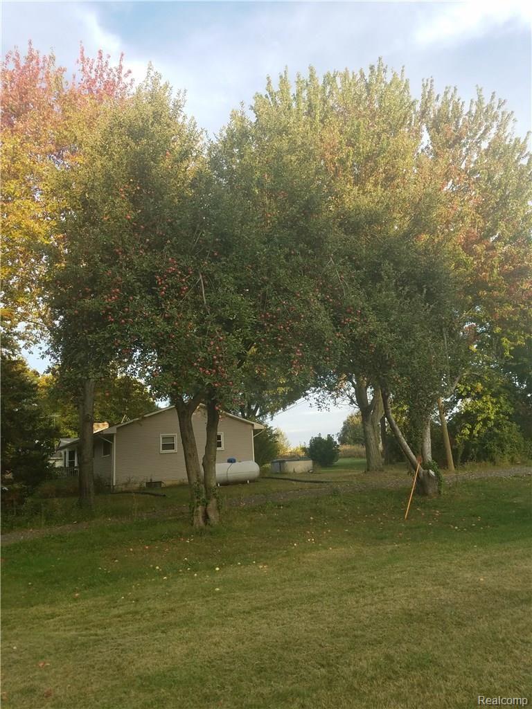 5659 Mason Road Fowlerville, MI 48836 - Photo 39 of 39 5659MasonTREE.jpg