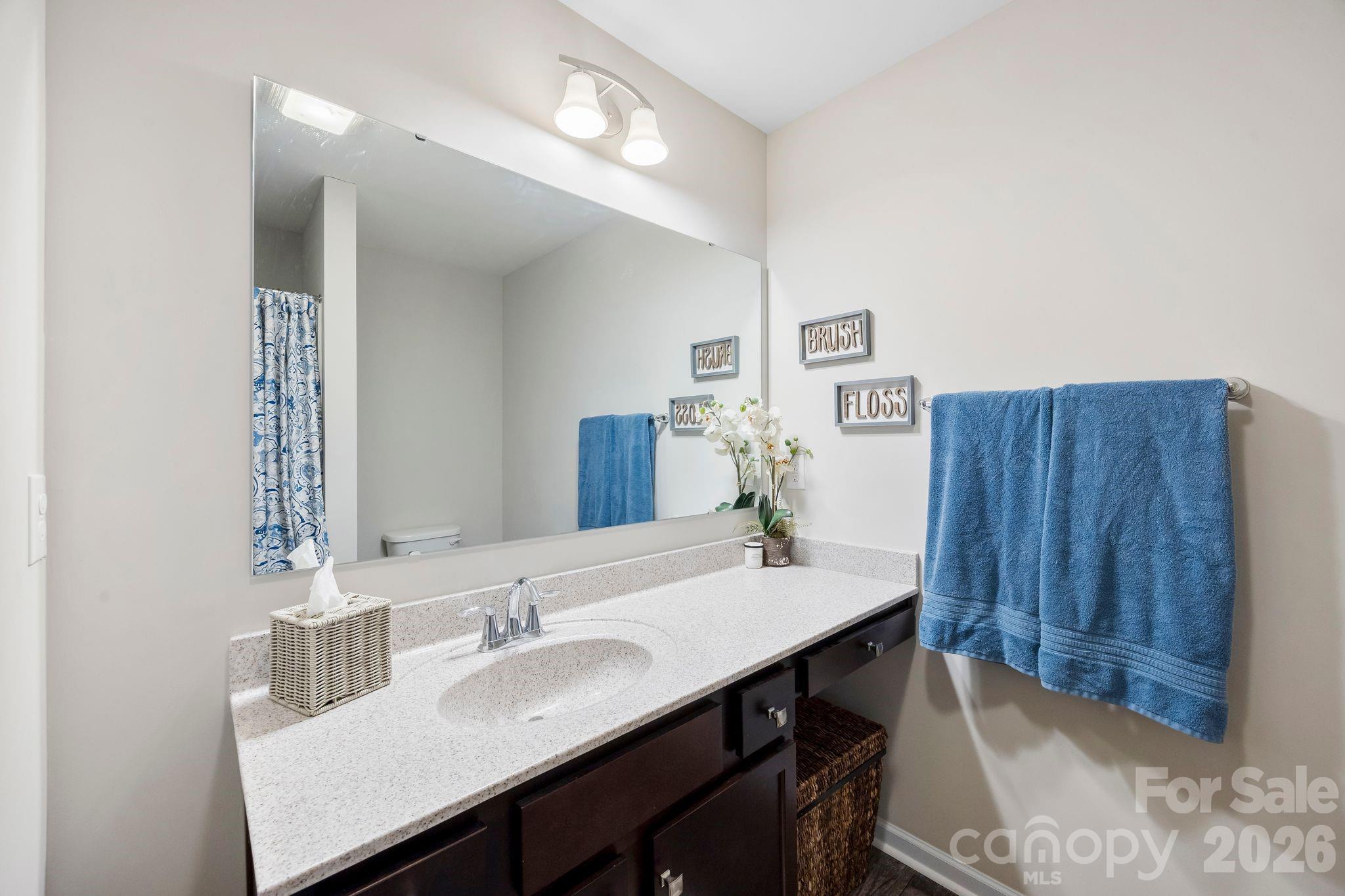 621 Samet Street Fort Mill, SC 29715 - Photo 22 of 29