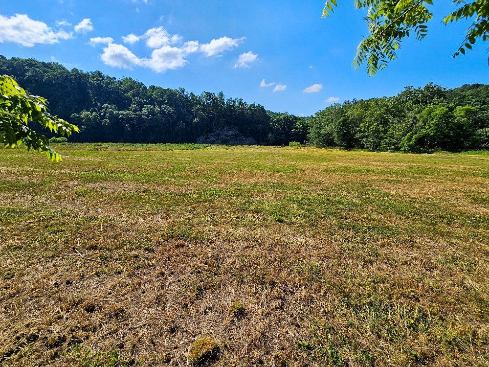 Lot 36 Ferry Road, Unit 36 Woodlawn, VA 24381 - Photo 21 of 28 Gallery Image 21