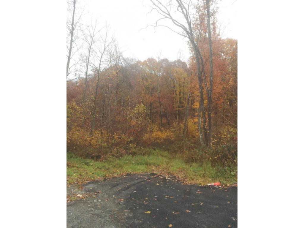 0 Coeburn Mountain Road Wise, VA 24293 - Photo 2 of 2 Photo 2