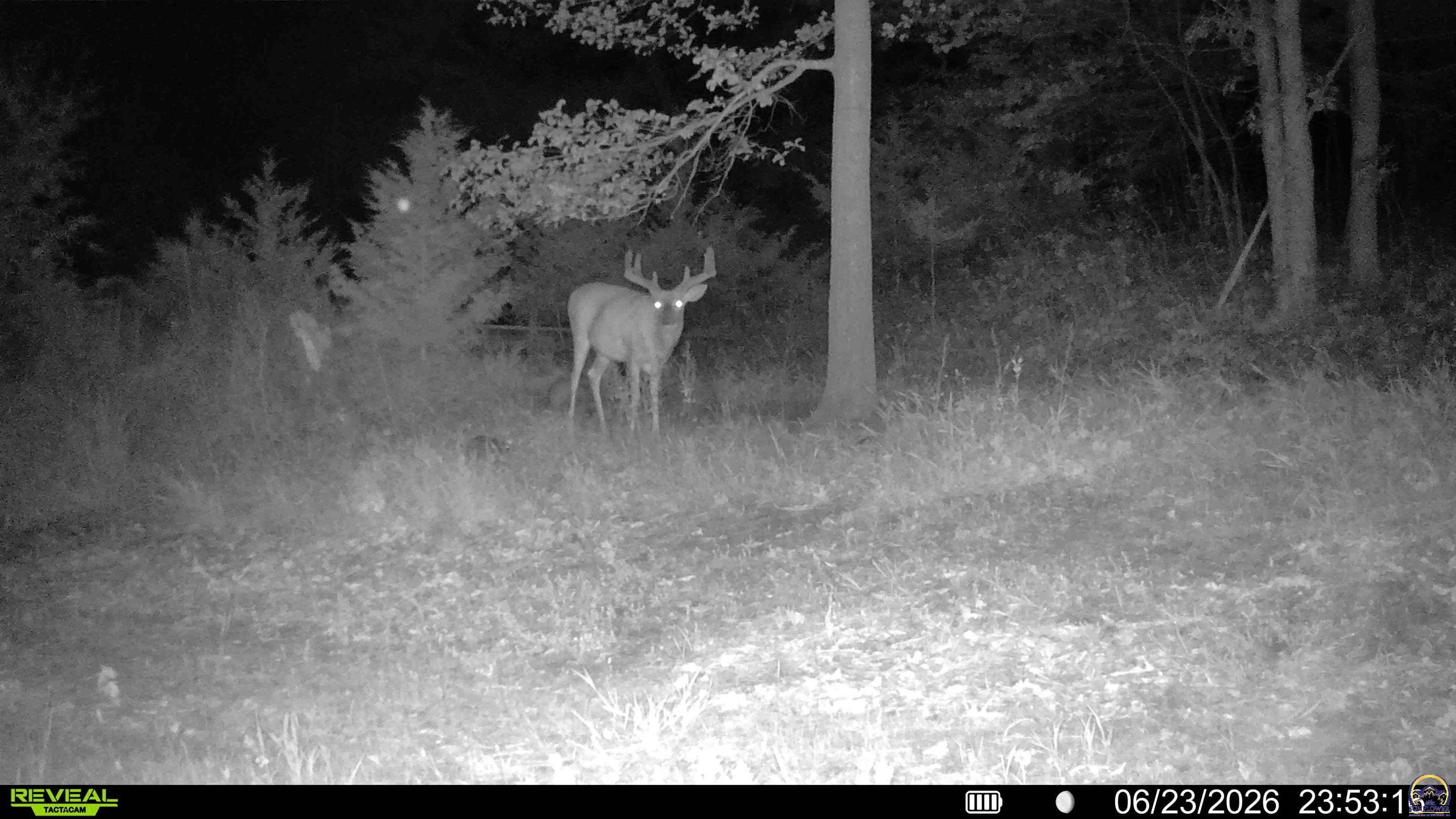 1757 Buck Creek Road Perry, KS 66073 - Photo 90 of 90