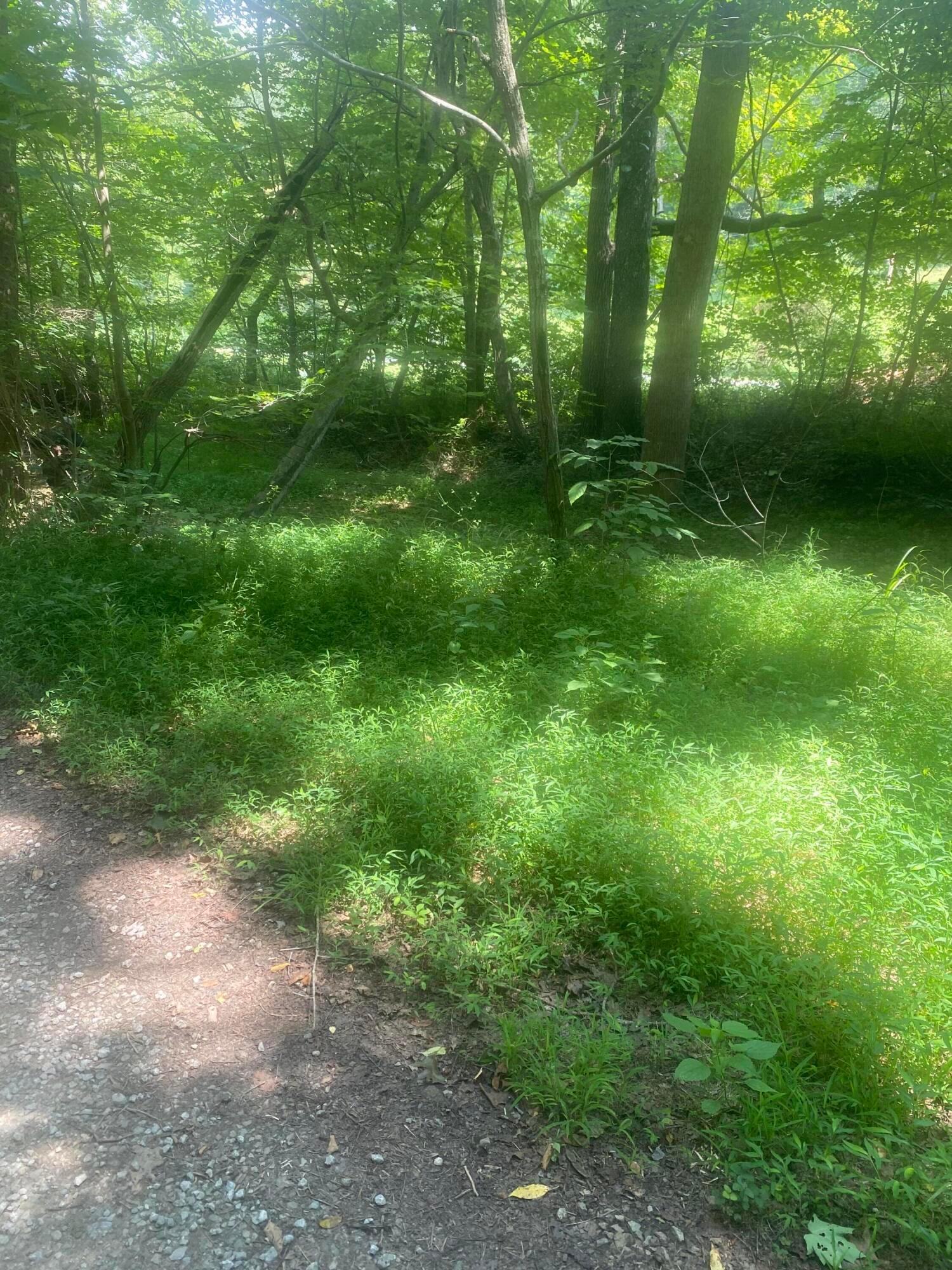 604 Woodruff Road Ray, OH 45672 - Photo 2 of 7 A1DAE8EA-6135-4190-B239-A439249A0173