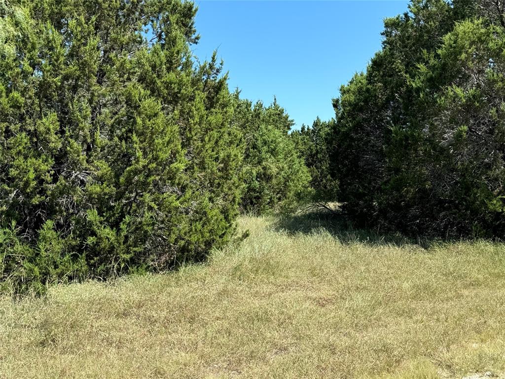 40057 Radde Road Whitney, TX 76692 - Photo 2 of 9