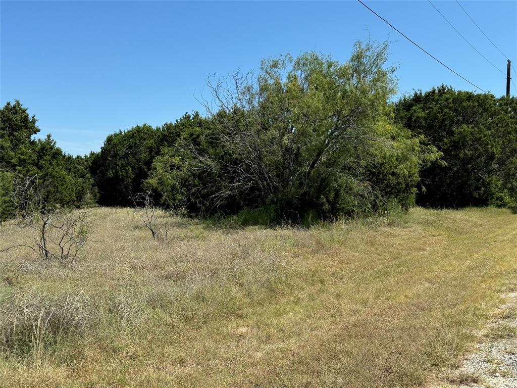 40057 Radde Road Whitney, TX 76692 - Photo 3 of 9