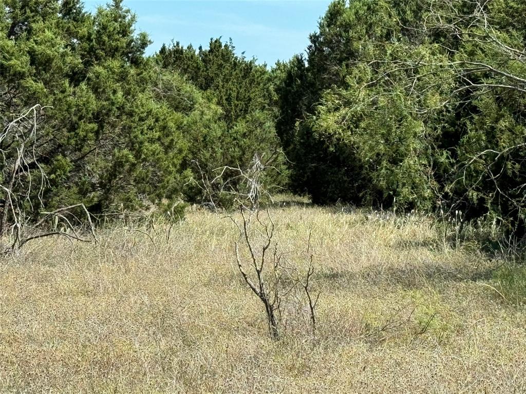 40057 Radde Road Whitney, TX 76692 - Photo 5 of 9