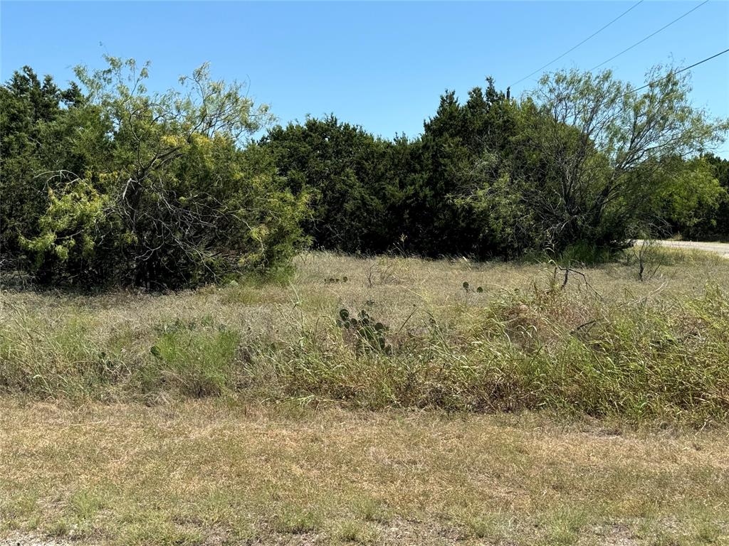 40057 Radde Road Whitney, TX 76692 - Photo 7 of 9