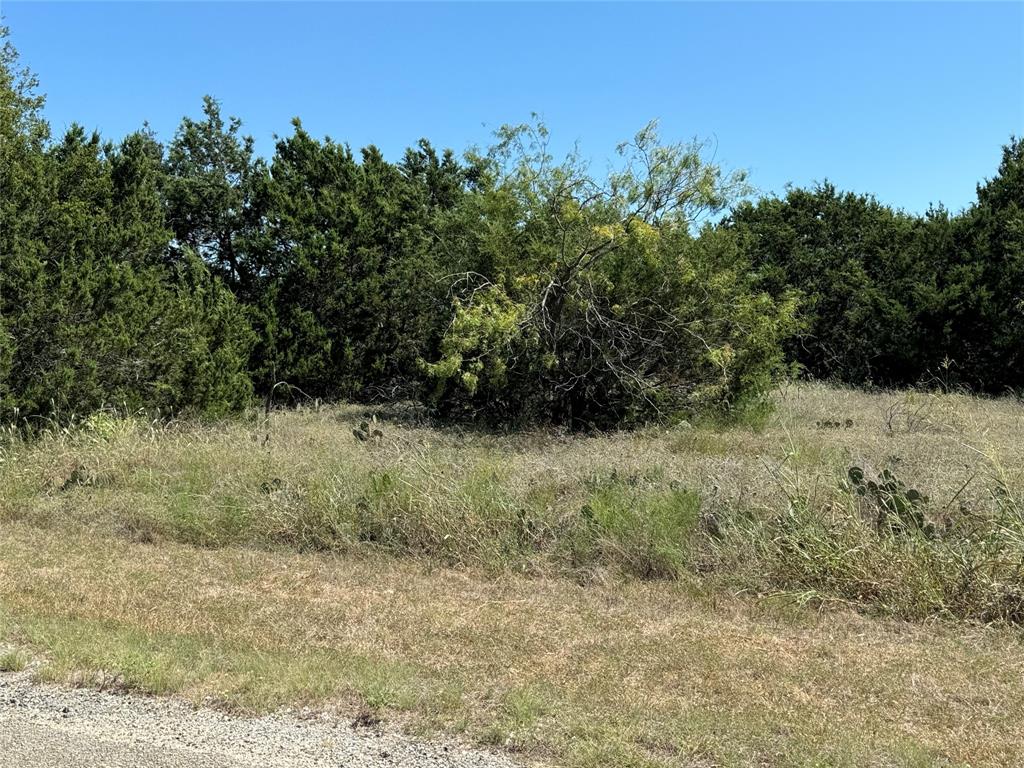 40057 Radde Road Whitney, TX 76692 - Photo 8 of 9
