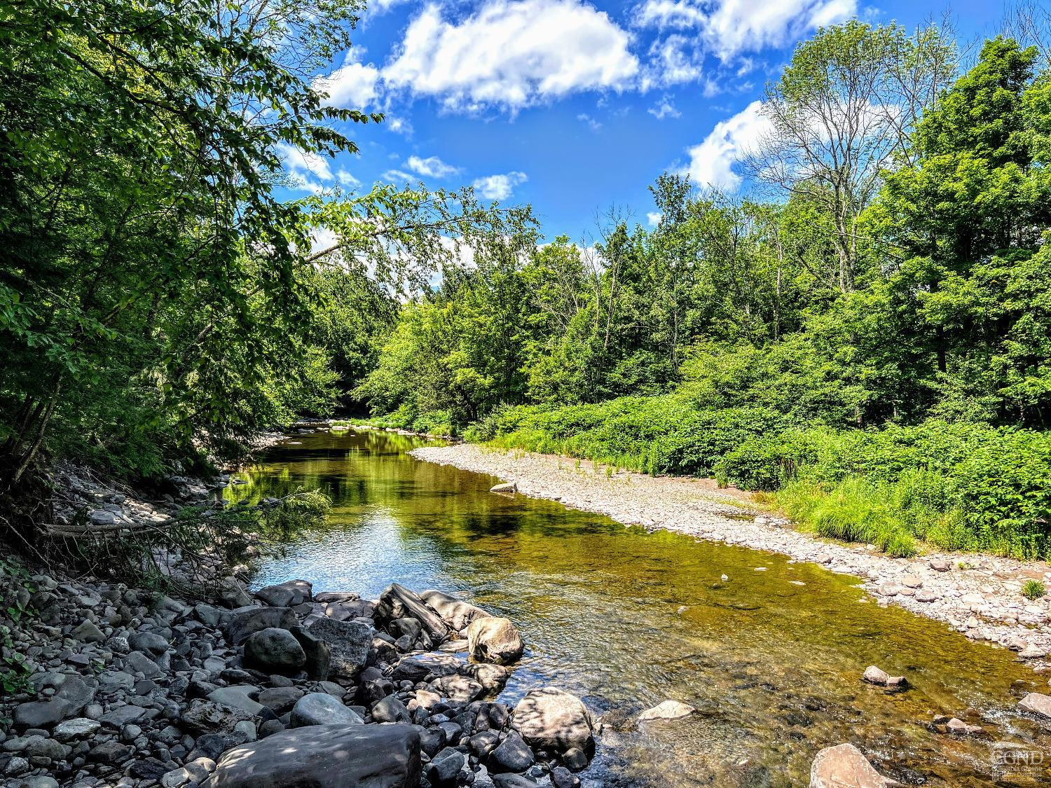 42-50 Stoney Clove Road Hunter, NY 12442 - Photo 70 of 82 a view of a lake from a yard