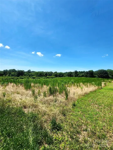 a view of lake with green space