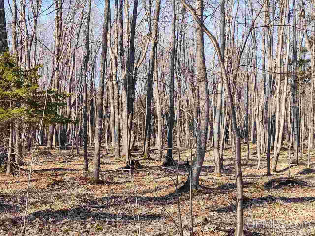 Tbd Sandstone B Road Lake Linden, MI 49945 - Photo 15 of 50
