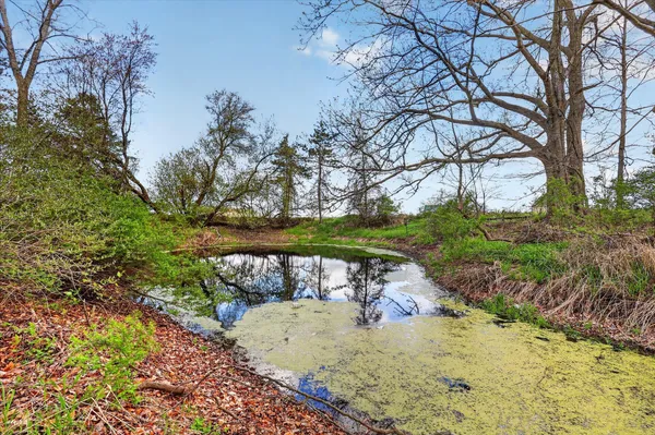 $224,900 | 4648 North Neff Road, Edmore, MI 48829