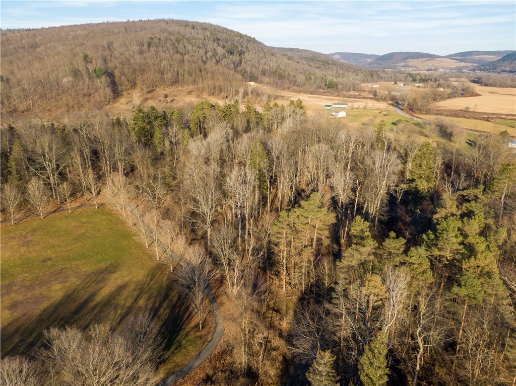 243 County Road Sherburne, NY 13460 - Photo 49 of 50