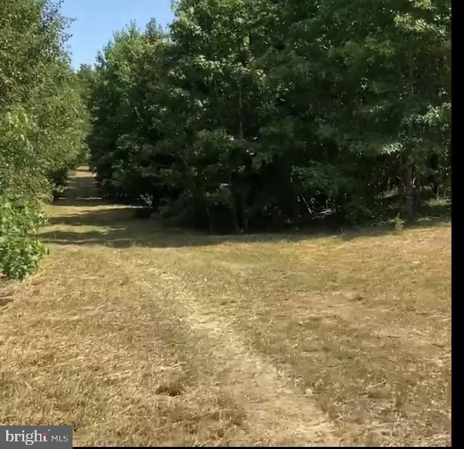 2675 Laurel Branch Drive Waldorf, MD 20603 - Photo 12 of 19 Cleared Photo of land