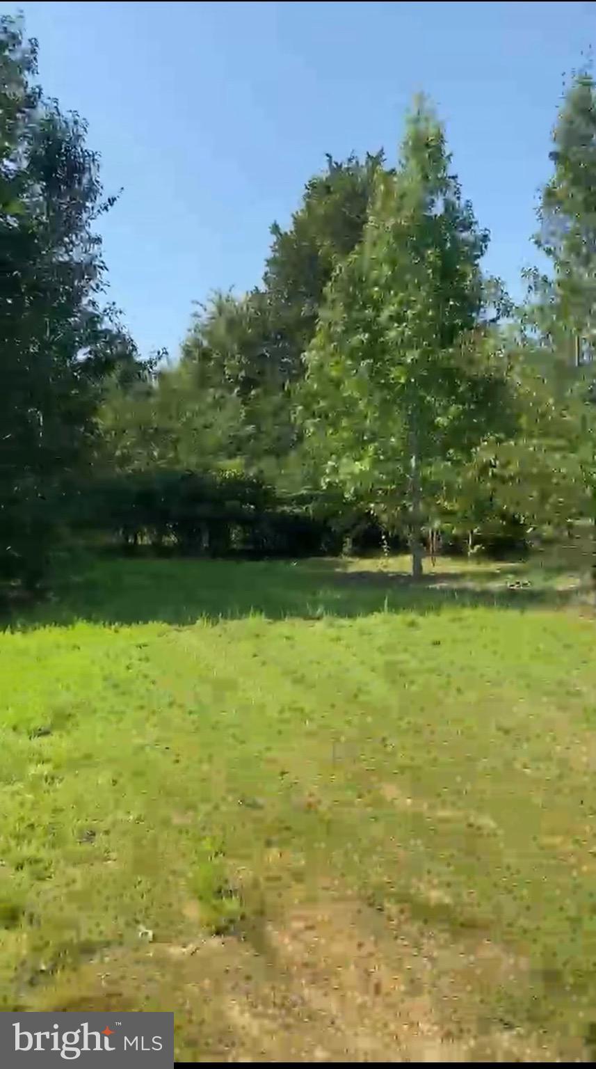 2675 Laurel Branch Drive Waldorf, MD 20603 - Photo 14 of 19 Cleared Photo of land