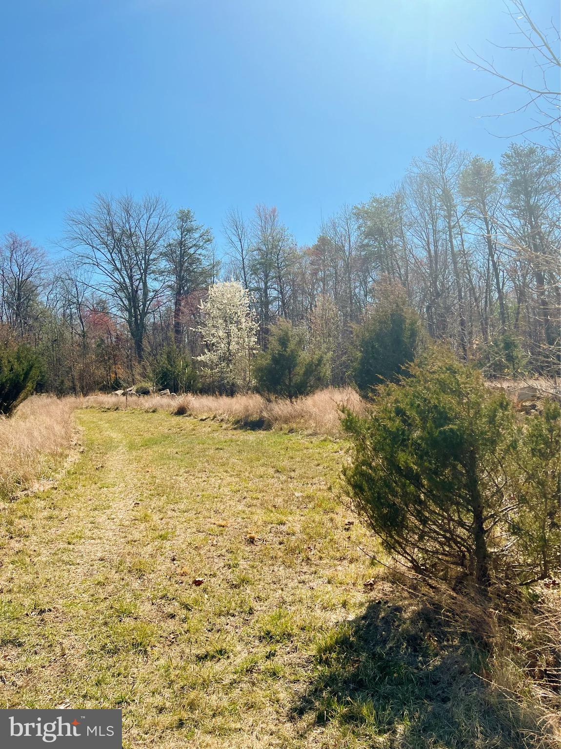 2675 Laurel Branch Drive Waldorf, MD 20603 - Photo 17 of 19 Cleared Photo of land