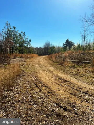 $1,000,000 | 2675 Laurel Branch Drive, Waldorf, MD 20603