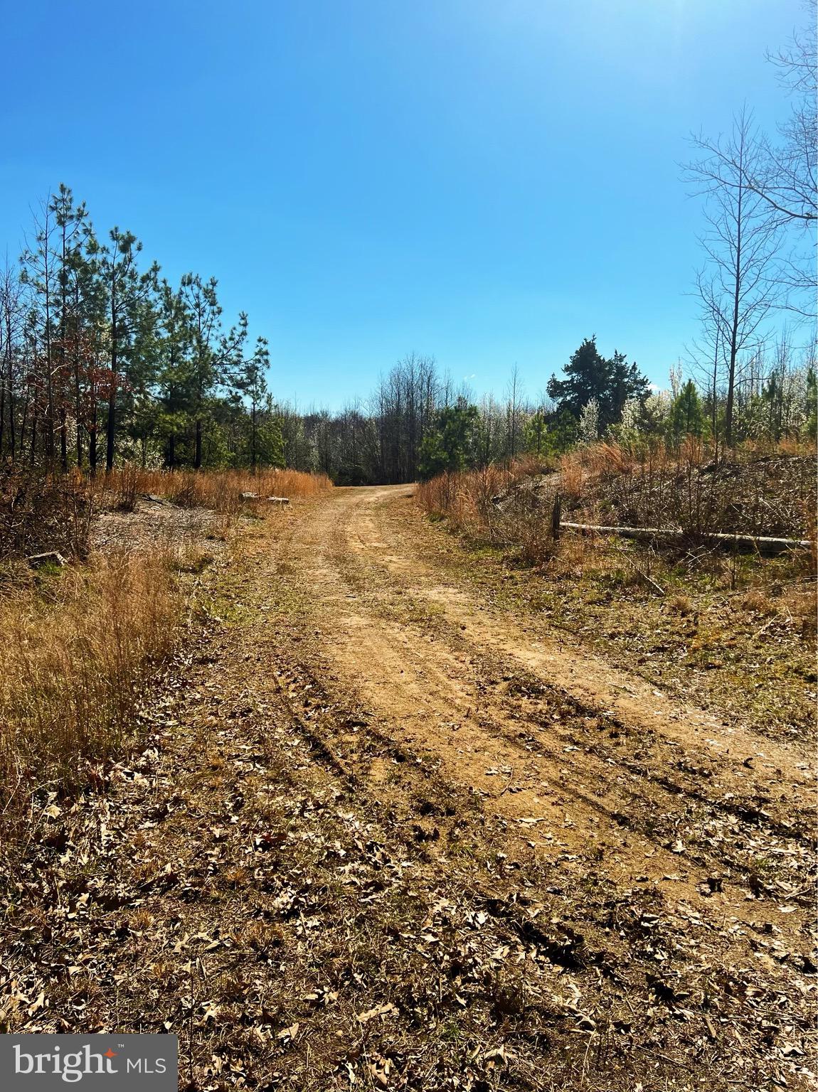 2675 Laurel Branch Drive Waldorf, MD 20603 - Photo 4 of 19 Cleared Photo of land