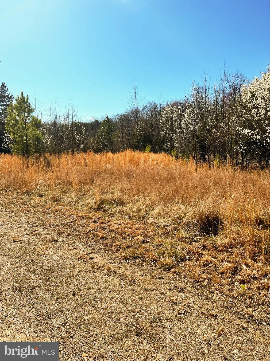 2675 Laurel Branch Drive Waldorf, MD 20603 - Photo 6 of 19 Cleared Photo of land