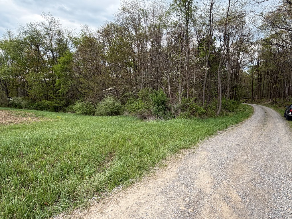 0 Long Point Road Rimersburg, PA 16248 - Photo 13 of 22 Gallery Image 13