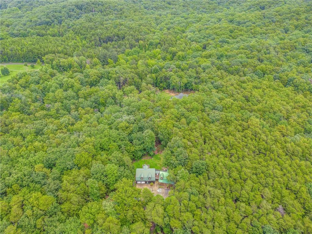 519 East Valley Road Northeast Rydal, GA 30171 - Photo 28 of 28 a view of a big yard with plants and large trees