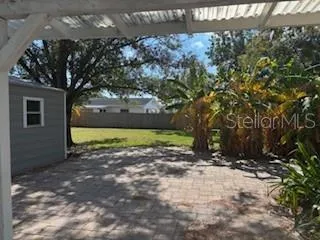 a view of a yard with a tree