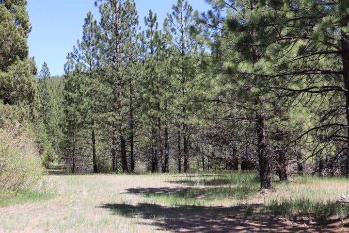 0 Masterson Road Gazelle, CA 96034 - Photo 10 of 26 Gallery Image 10