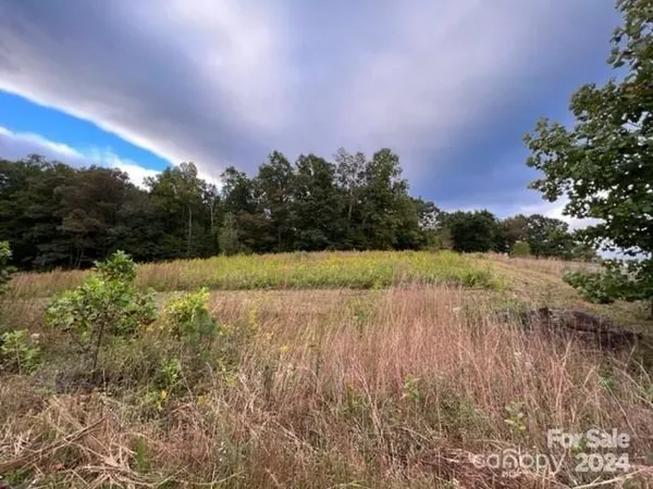 $59,000 | 0 Stow-A-Way Drive, Unit 44, Nebo, NC 28761