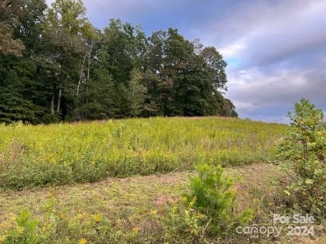 $59,000 | 0 Stow-A-Way Drive, Unit 44, Nebo, NC 28761