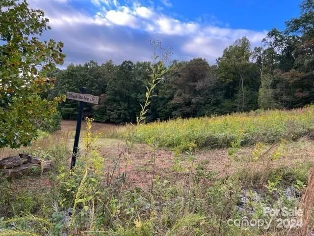 $59,000 | 0 Stow-A-Way Drive, Unit 44, Nebo, NC 28761