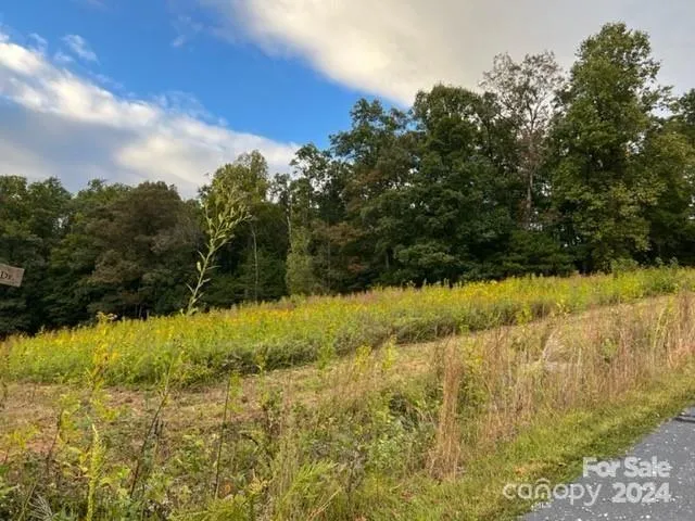 $59,000 | 0 Stow-A-Way Drive, Unit 44, Nebo, NC 28761