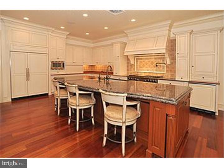 2167 Paper Mill Road Huntingdon Valley, PA 19006 - Photo 3 of 21 Kitchen