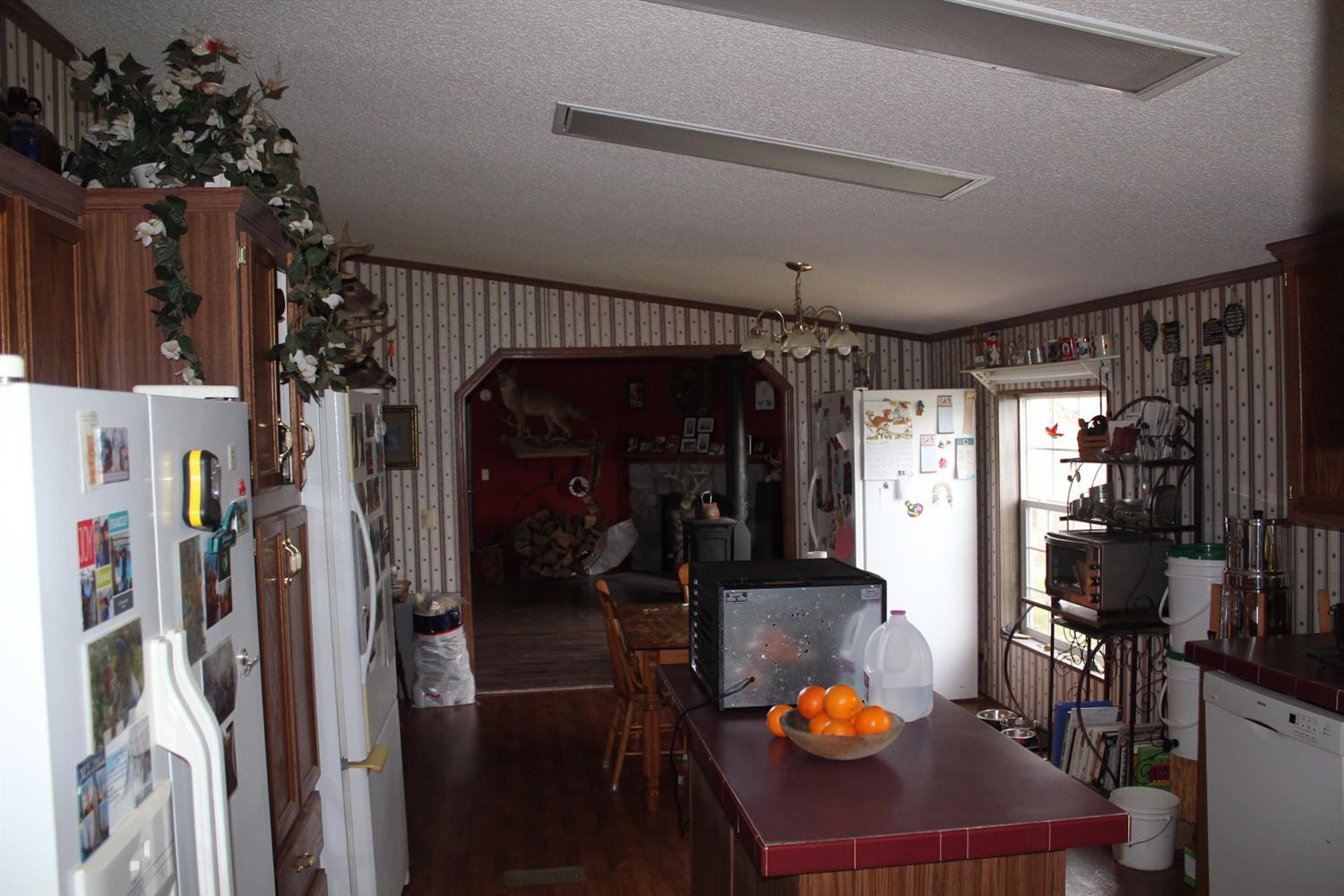 3821 Amos Ridge Road Frenchburg, KY 40322 - Photo 12 of 88 Photo 12