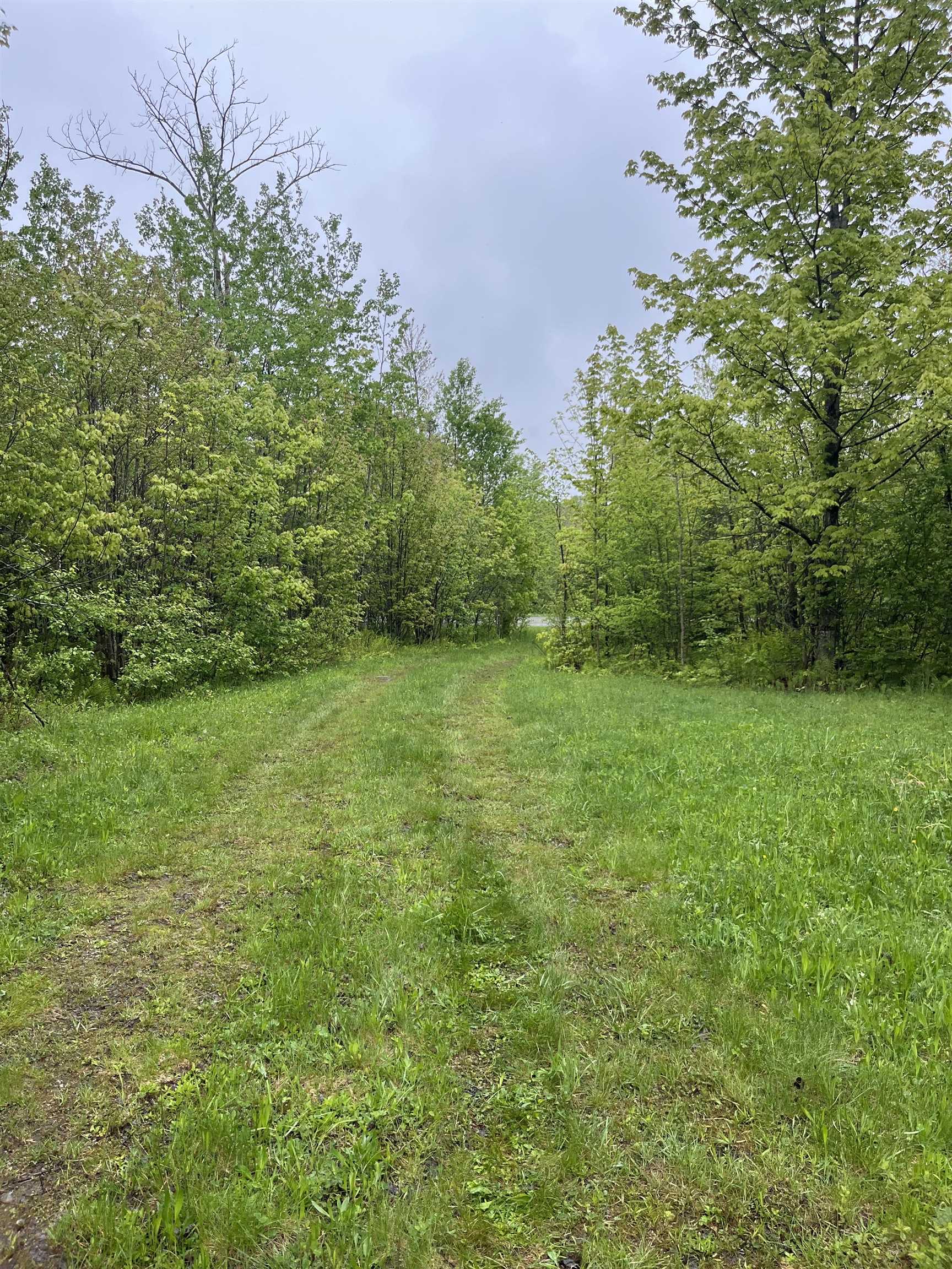 3010 Buck Hill Road Westfield, VT 05874 - Photo 5 of 5
