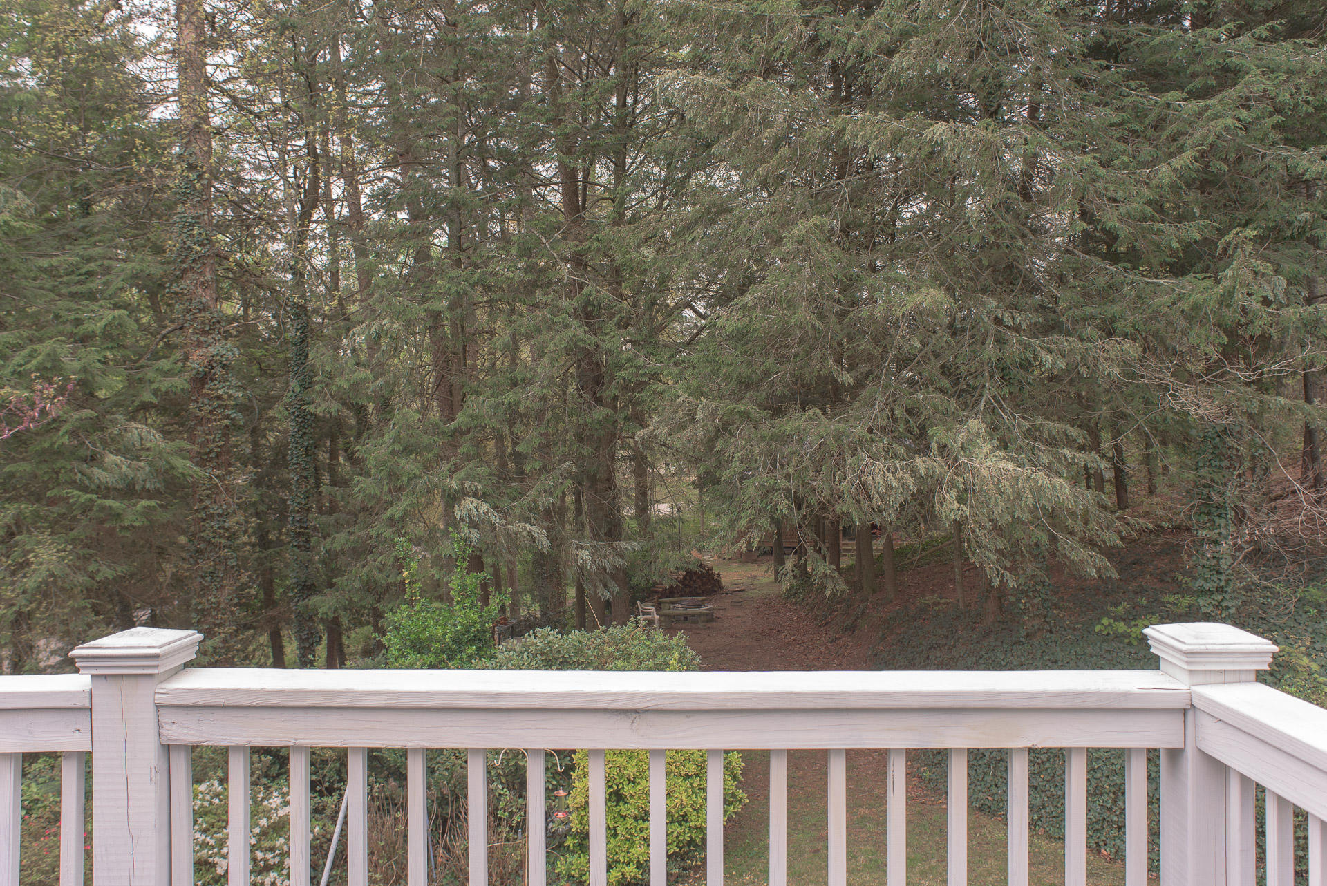 817 Donaldson Road Chattanooga, TN 37412 - Photo 22 of 38 Back Porch