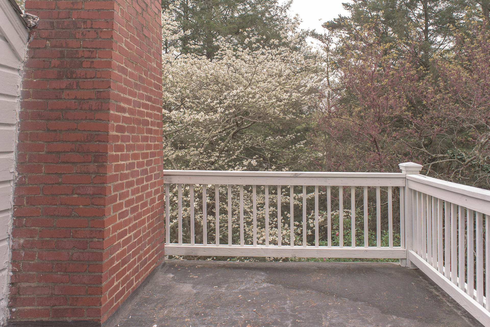 817 Donaldson Road Chattanooga, TN 37412 - Photo 23 of 38 Back Deck