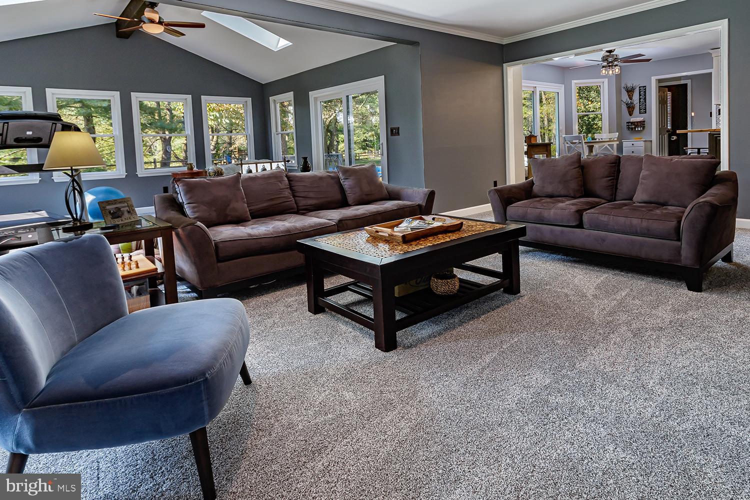 20 Meadowview Drive Shamong, NJ 08088 - Photo 12 of 40 Family room and sun room with skylights