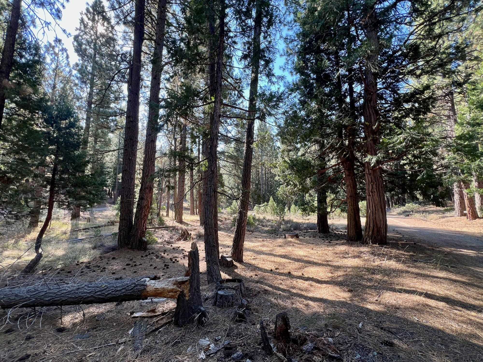 1651 Woodpecker Road Clio, CA 96106 - Photo 17 of 50 Gallery Image 17