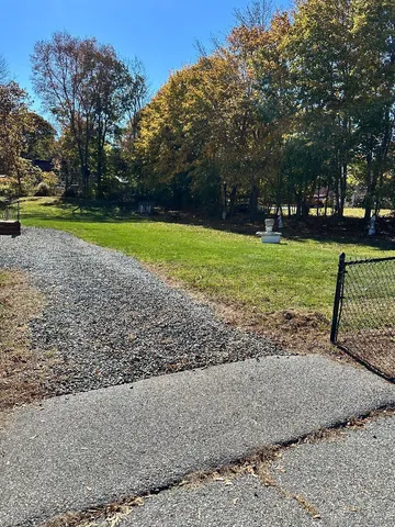 a view of a park with large trees